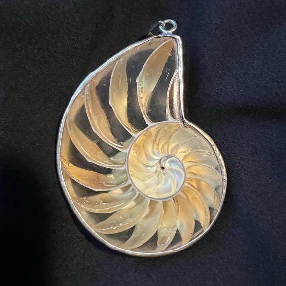 Nautilus Shell Pendant - Picture 4 of 6